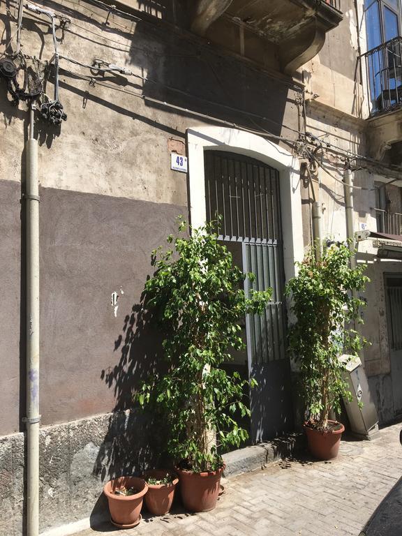 Casa Vacanza Civita Catania Centro Apartment Bagian luar foto